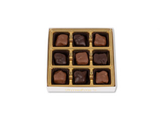 9 pc Turtle Assortment